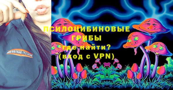 mdpv Горняк