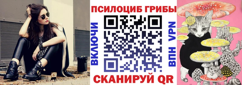 Псилоцибиновые грибы Cubensis  где можно купить наркотик  мега зеркало  Лениногорск 