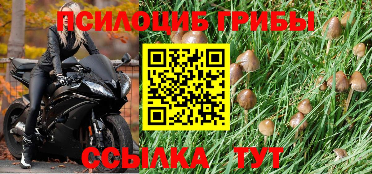 Галлюциногенные грибы Cubensis Лениногорск