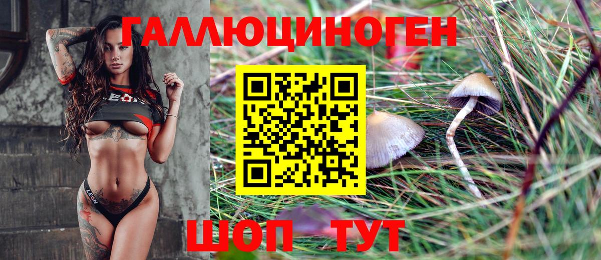 Псилоцибиновые грибы мицелий Лениногорск