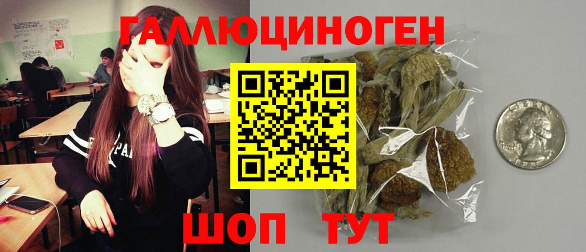 Псилоцибиновые грибы мухоморы  Вход с VPN  сколько стоит  Лениногорск 