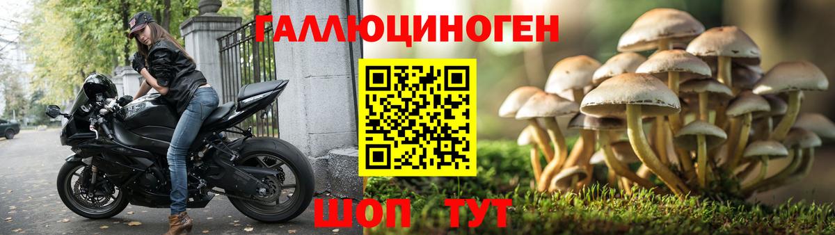 Галлюциногенные грибы MAGIC MUSHROOMS  Лениногорск 